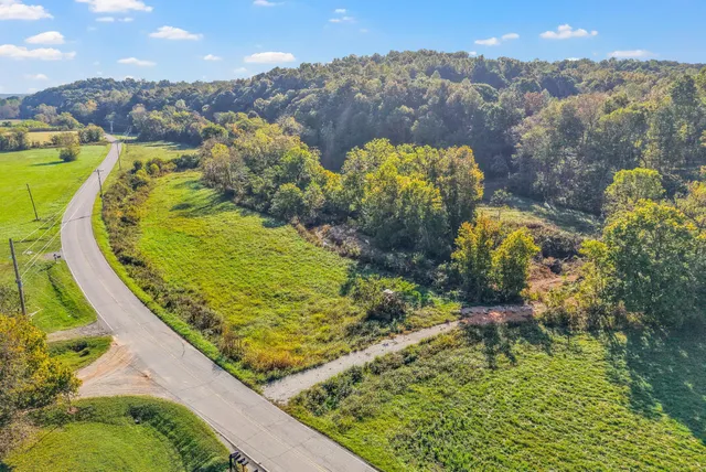 a view of a garden with plants and large trees