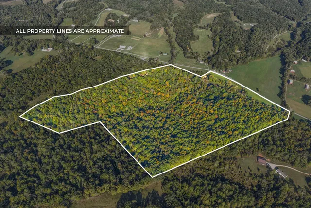 a view of a tennis court