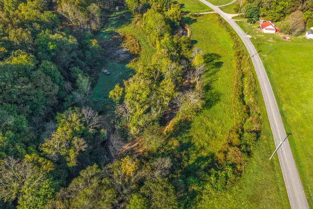 a view of a yard with trees