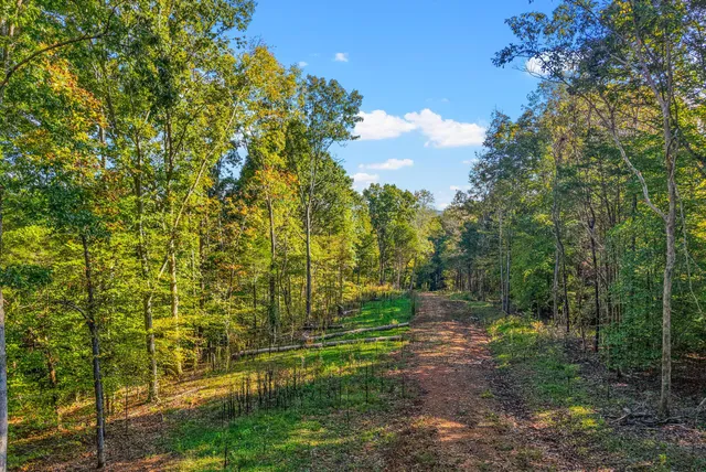 a view of outdoor space and green space