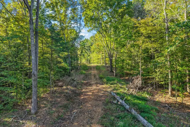 a view of a yard with an outdoor space