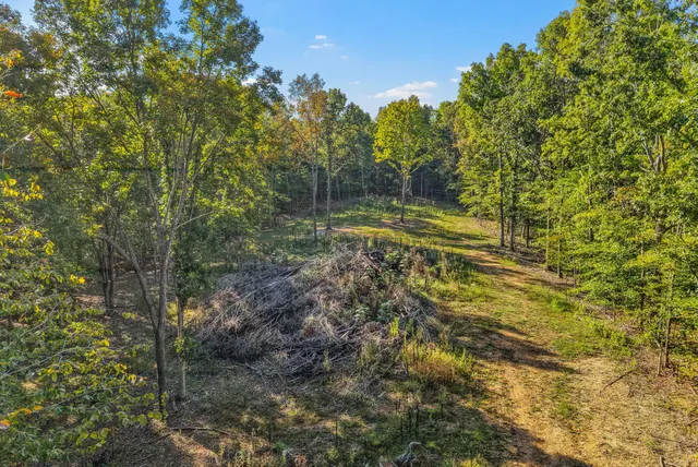 a view of yard with green space