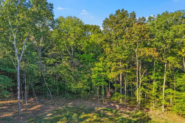 a view of a field with an outdoor space