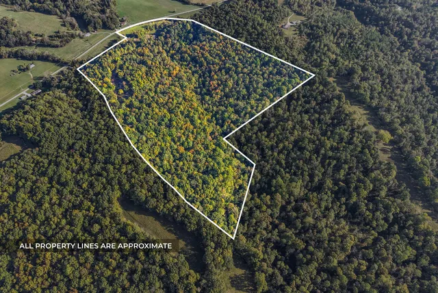 a view of balcony with a plant