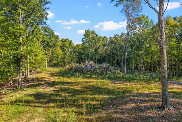 a view of an outdoor space and a yard