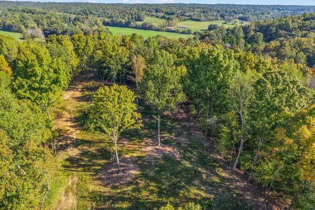 a view of a dirt road with trees in the background