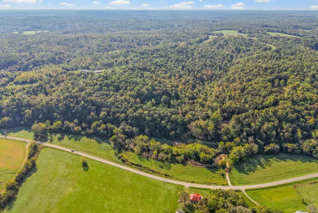 a big yard with lots of green space and deers