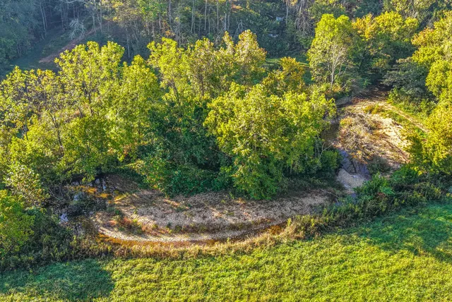 a view of a garden with a fountain