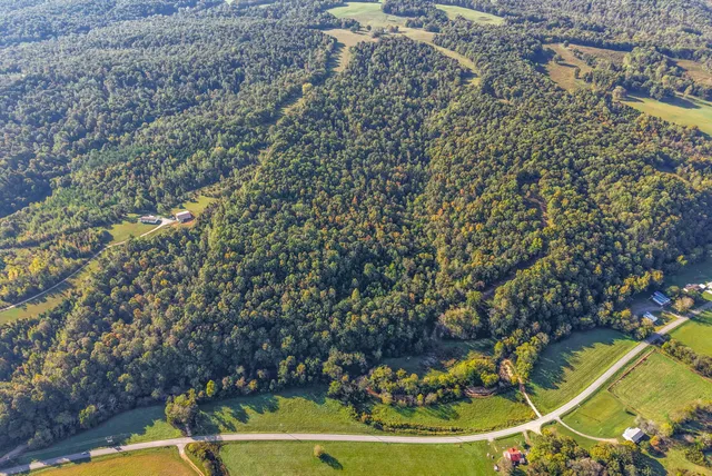 a view of swimming pool from a balcony