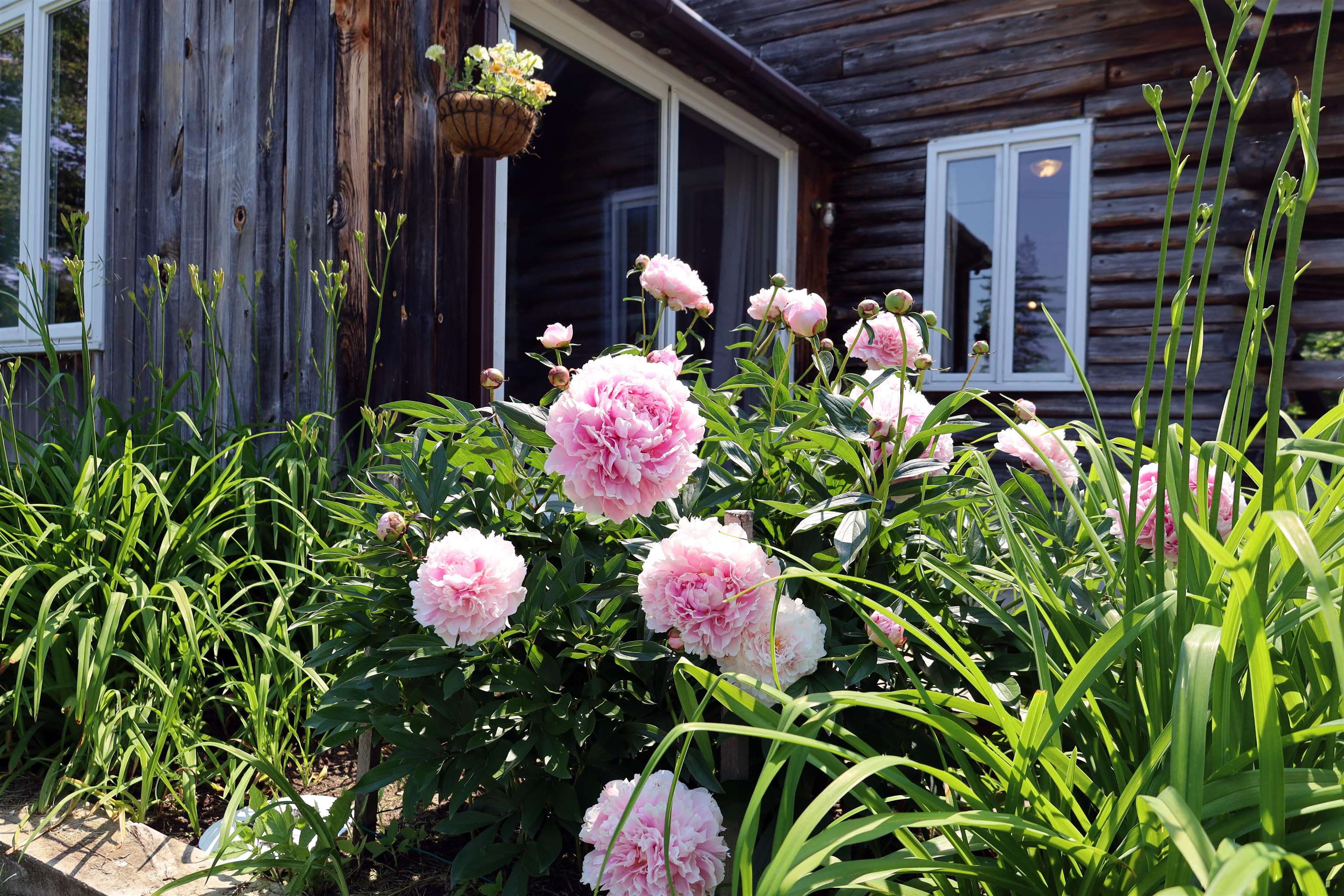 167 Isham Hill Road Danville, VT 05873 - Photo 47 of 60