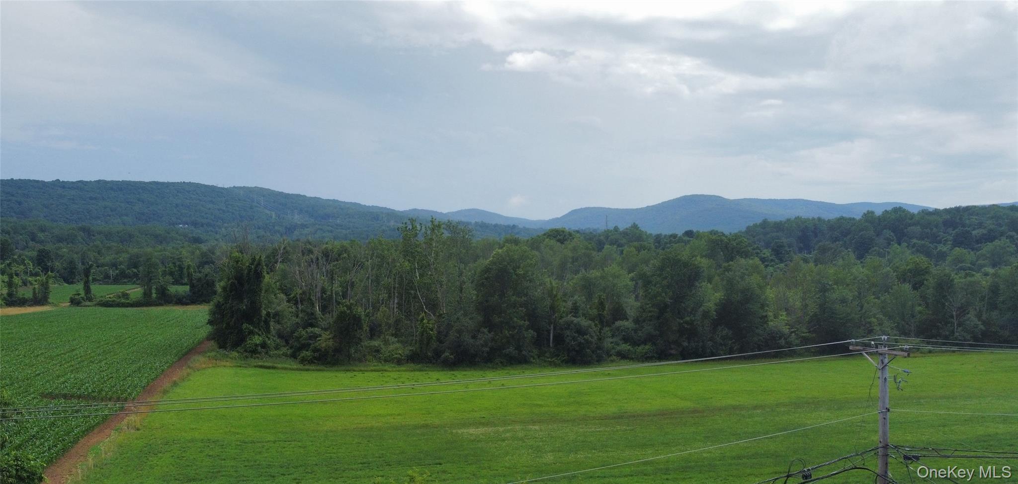 319 Blue Hill Road Hopewell Junction, NY 12533 - Photo 3 of 21 The fields, the trees, the mountains, the view!