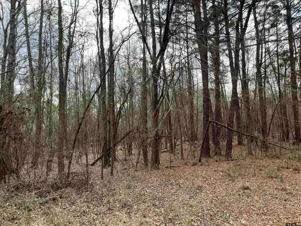 $129,599 | 1 Venus Road, Gladewater, TX 75647