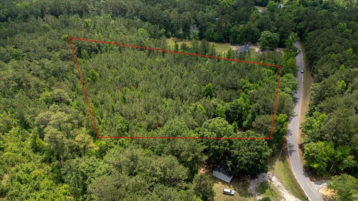 0 Deneaux Road Rowesville, SC 29133 - Photo 24 of 43 24-Deneaux-20a