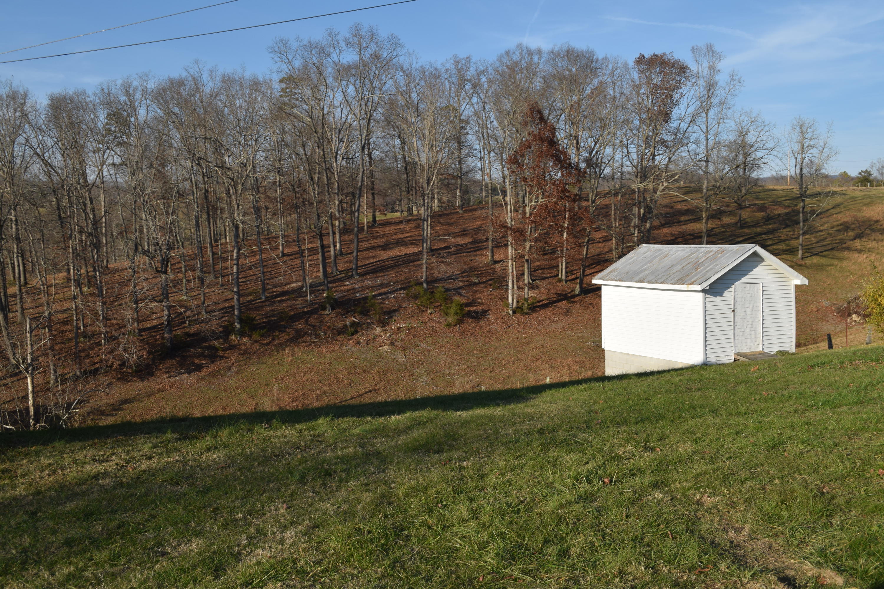 339 Camp Ridge Road La Follette, TN 37766 - Photo 8 of 21 DSC_0480