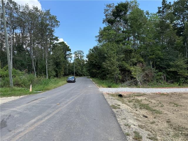 29536 Linda's Haven Road Springfield, LA 70462 - Photo 33 of 34 Gallery Image 33