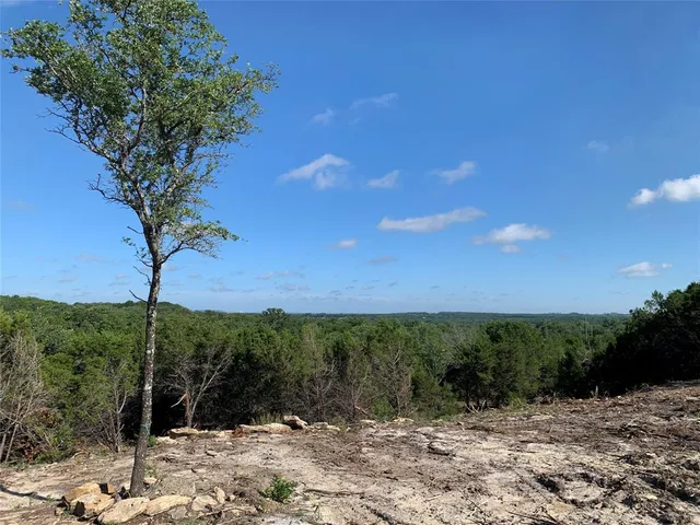 a view of a yard with a tree