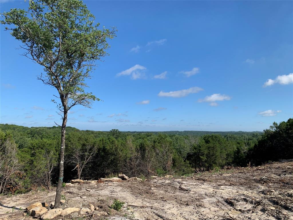 1101 Creek Crossing Road Nemo, TX 76070 - Photo 11 of 34 a view of a yard with a tree