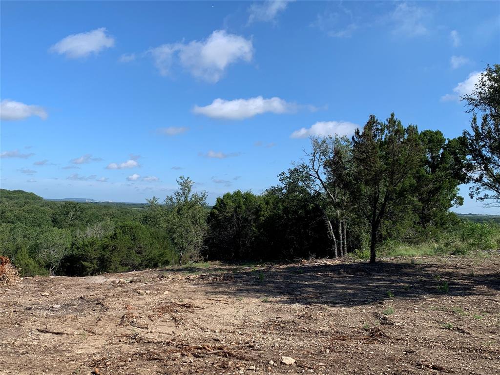 1101 Creek Crossing Road Nemo, TX 76070 - Photo 12 of 34 a backyard of a house with lots of green space