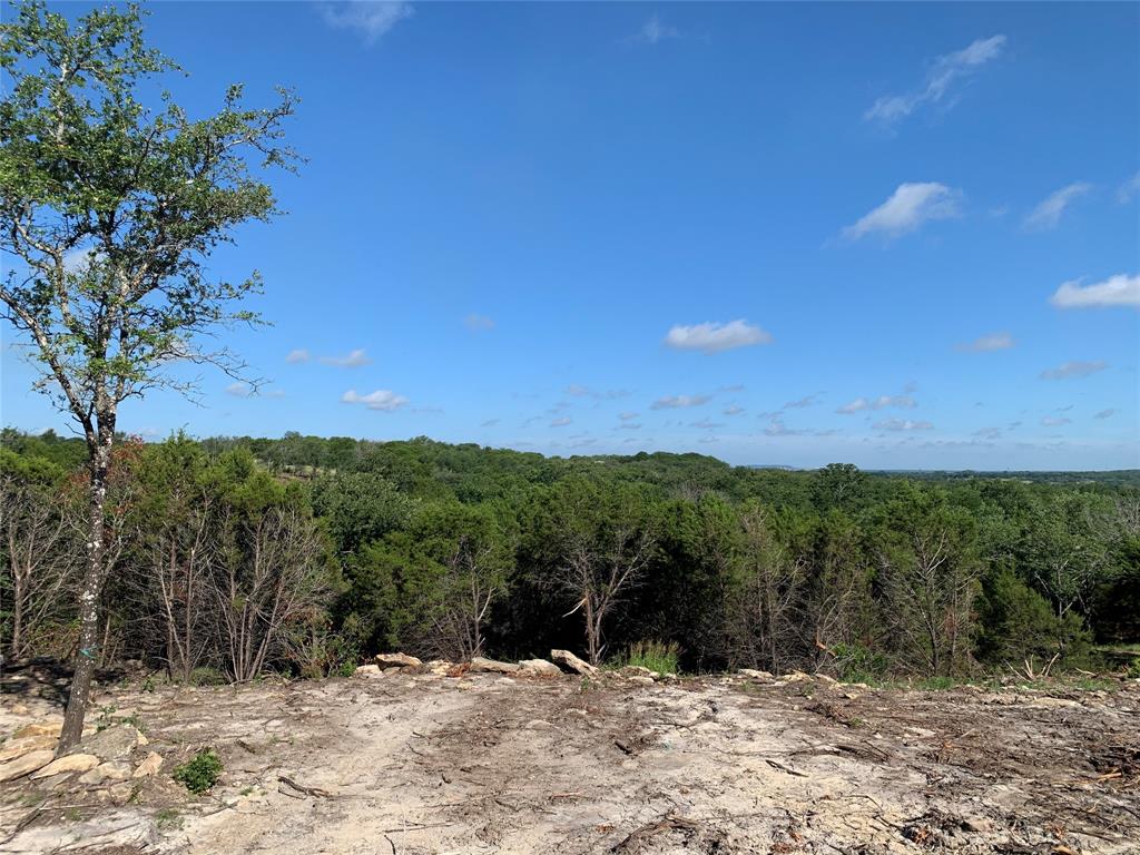 1101 Creek Crossing Road Nemo, TX 76070 - Photo 14 of 34 a view of outdoor space with mountain view