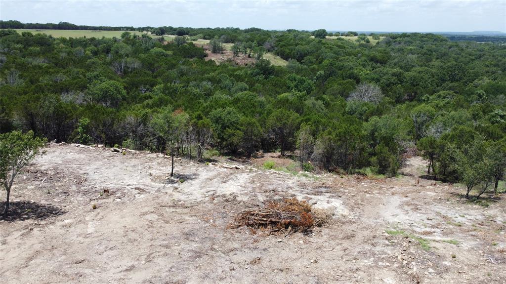 1101 Creek Crossing Road Nemo, TX 76070 - Photo 25 of 34 a view of a yard covered in snow