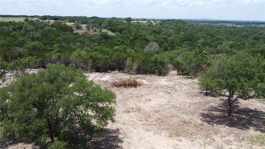 1101 Creek Crossing Road Nemo, TX 76070 - Photo 28 of 34 a view of a dirt road with trees in the background