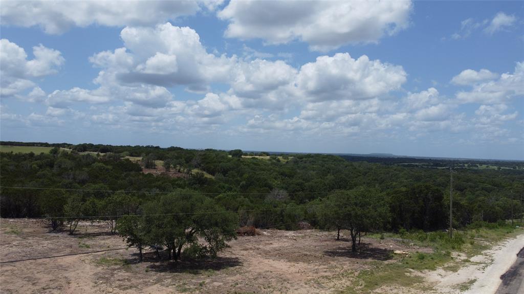 1101 Creek Crossing Road Nemo, TX 76070 - Photo 29 of 34 a view of a yard