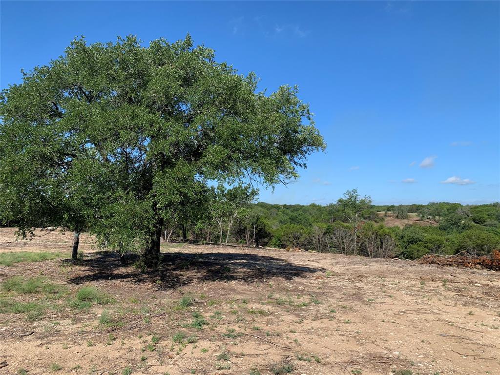 1101 Creek Crossing Road Nemo, TX 76070 - Photo 3 of 34 a view of backyard with green space