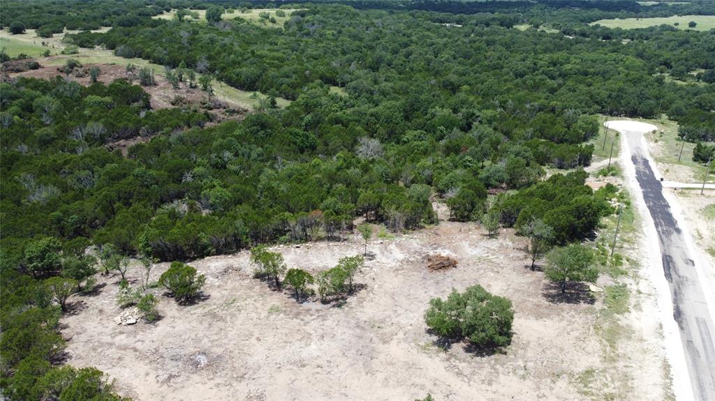 1101 Creek Crossing Road Nemo, TX 76070 - Photo 31 of 34 a view of a dry yard with trees and plants