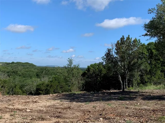 a view of a dry yard with trees