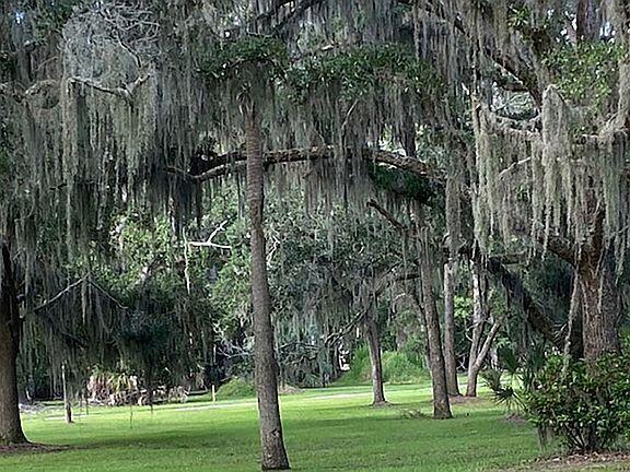 83 Cocktail Lane Edisto Island, SC 29438 - Photo 2 of 4 2