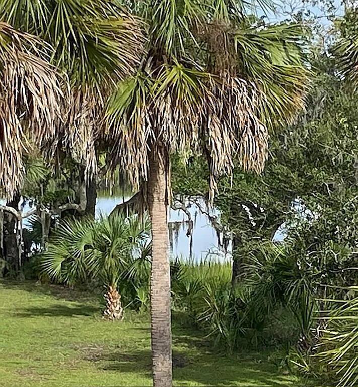 83 Cocktail Lane Edisto Island, SC 29438 - Photo 3 of 4 3