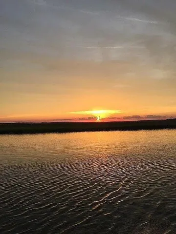 $1,195,000 | 83 Cocktail Lane, Edisto Island, SC 29438