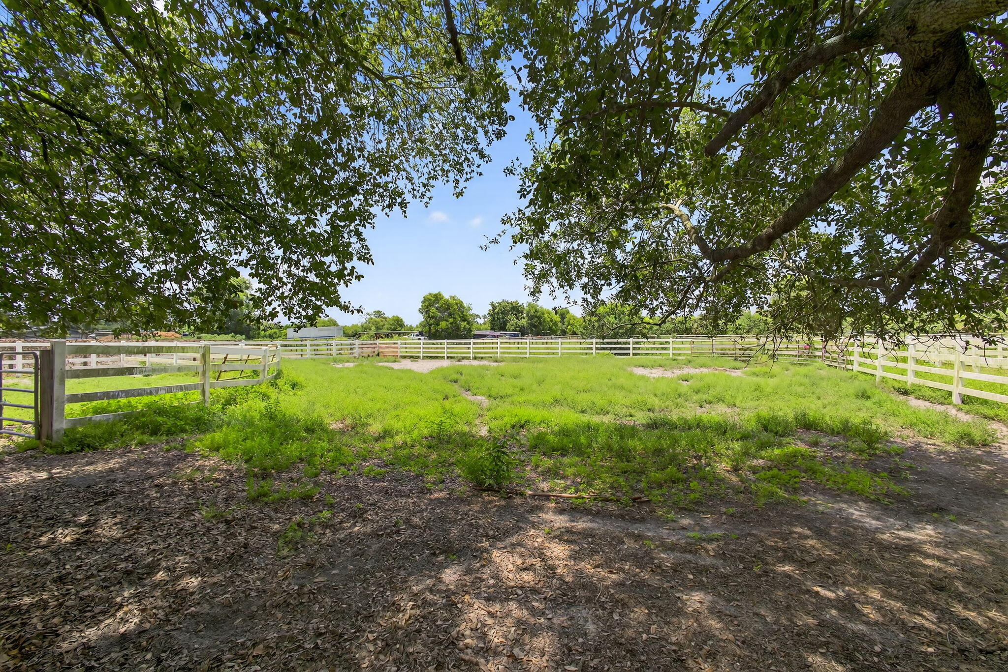 14095 Biddex Road Loxahatchee Groves, FL 33470 - Photo 17 of 60 72-web-or-mls-BS1A5066