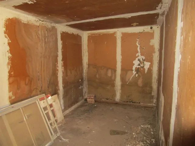 a view of yard with green space