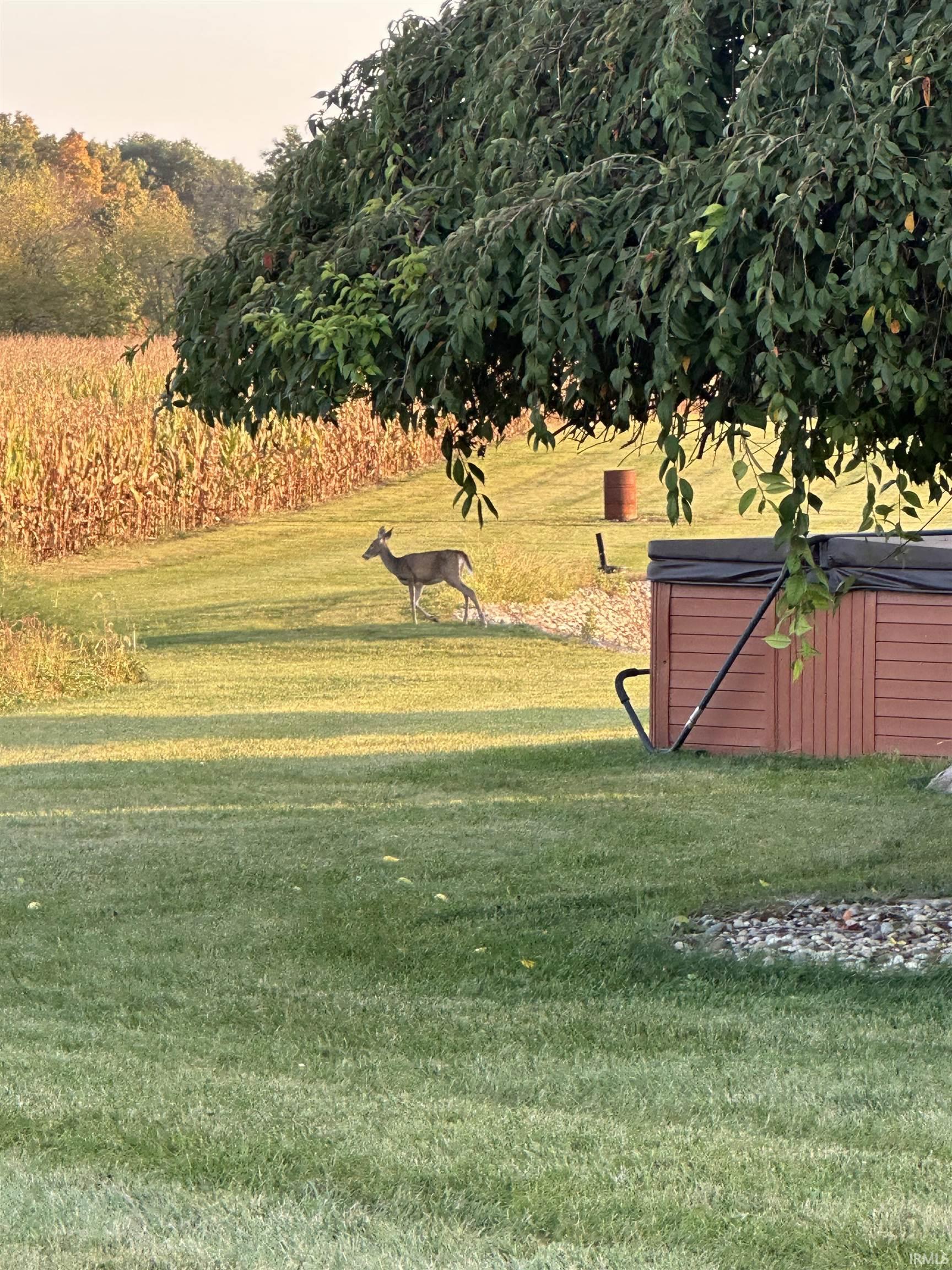 5520 South Meridian Road Pleasant Lake, IN 46779 - Photo 18 of 31