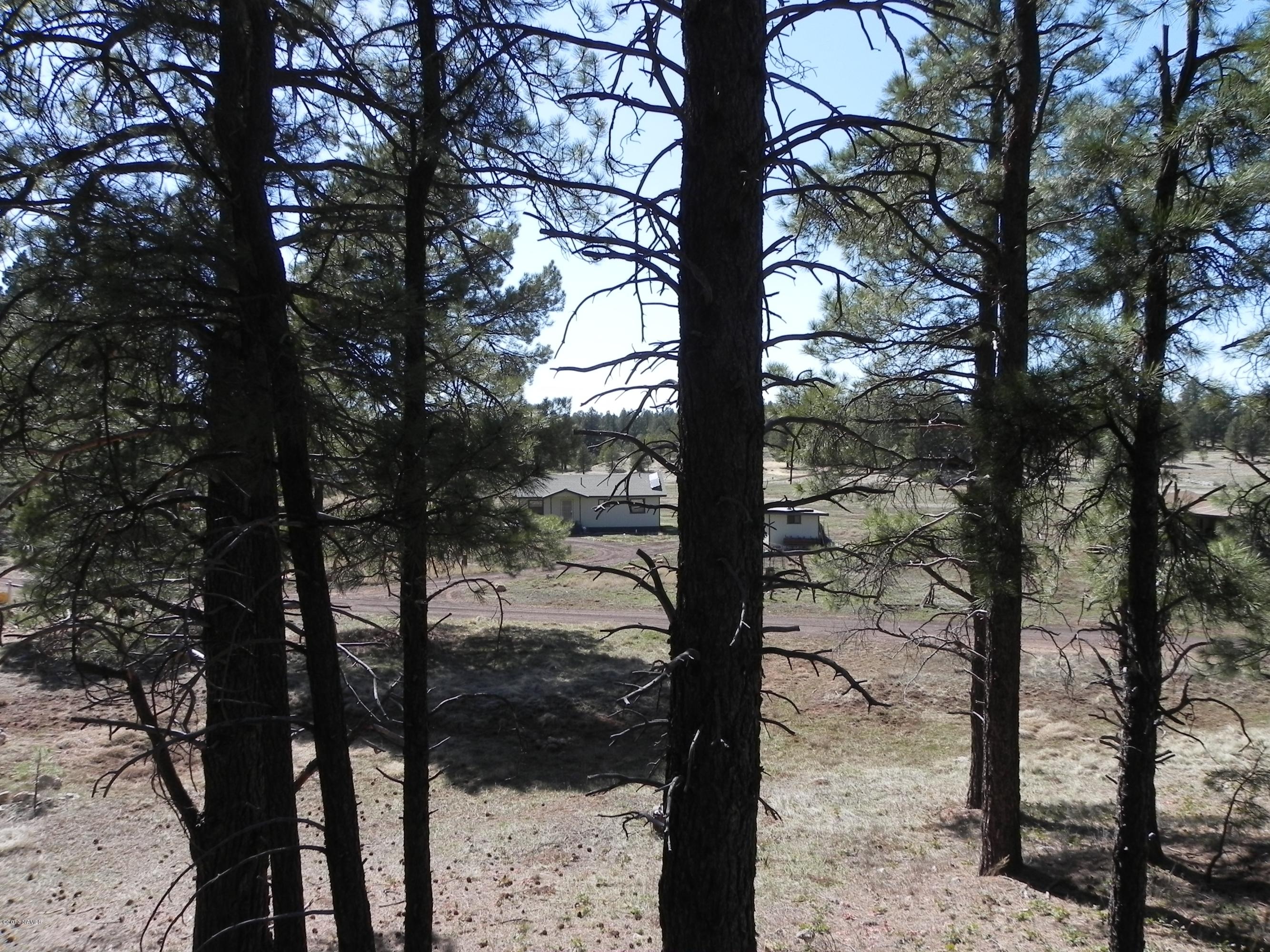 5428 Antelope Road Flagstaff, AZ 86005 - Photo 33 of 39 DSCN9651