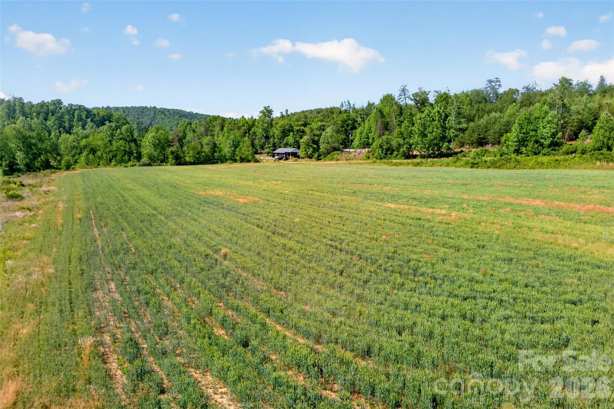 3361 Bethlehem Road Old Fort, NC 28762 - Photo 19 of 47