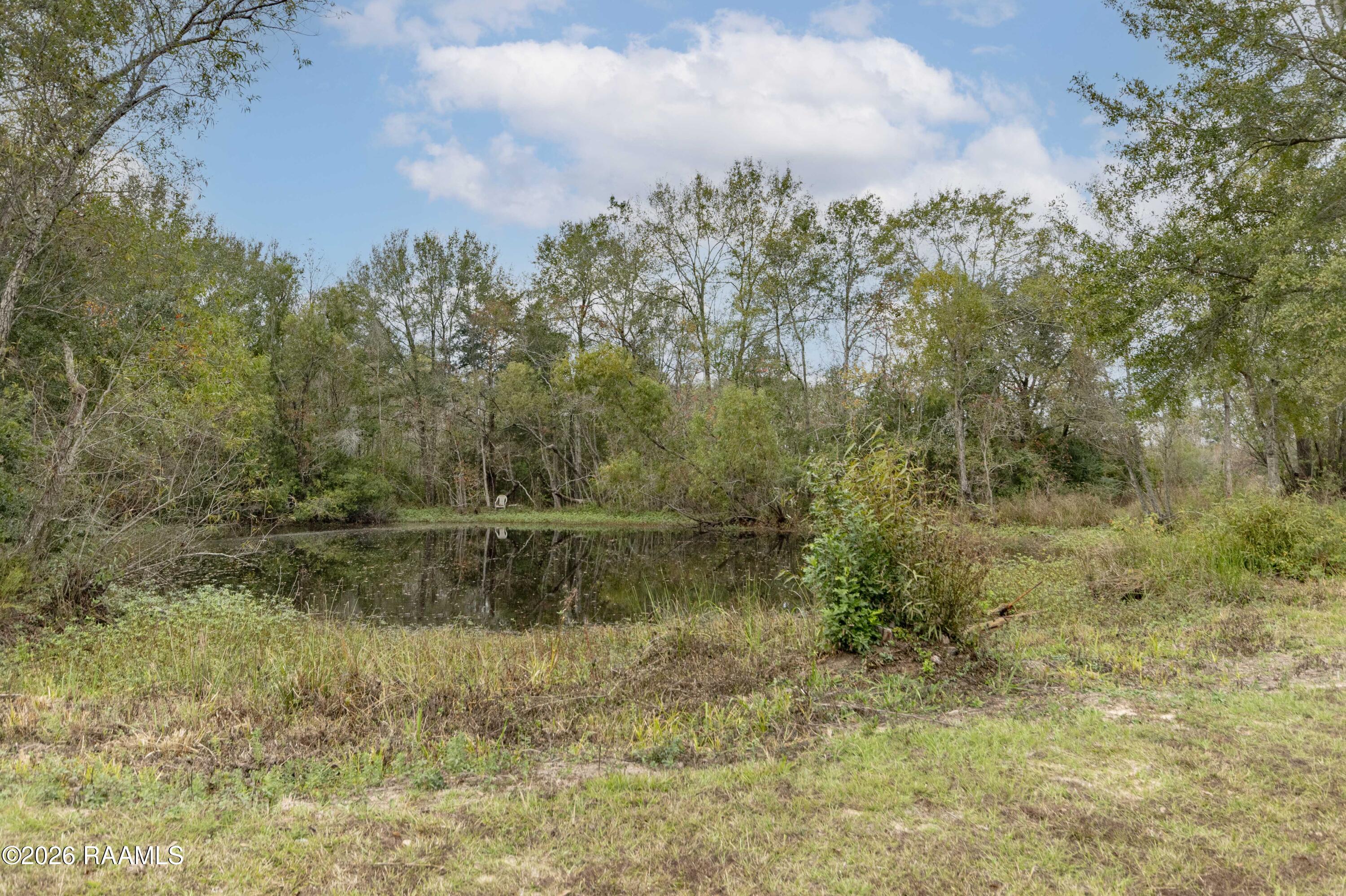 1513 Highway 343 Church Point, LA 70525 - Photo 40 of 46 Pond 2 (1)