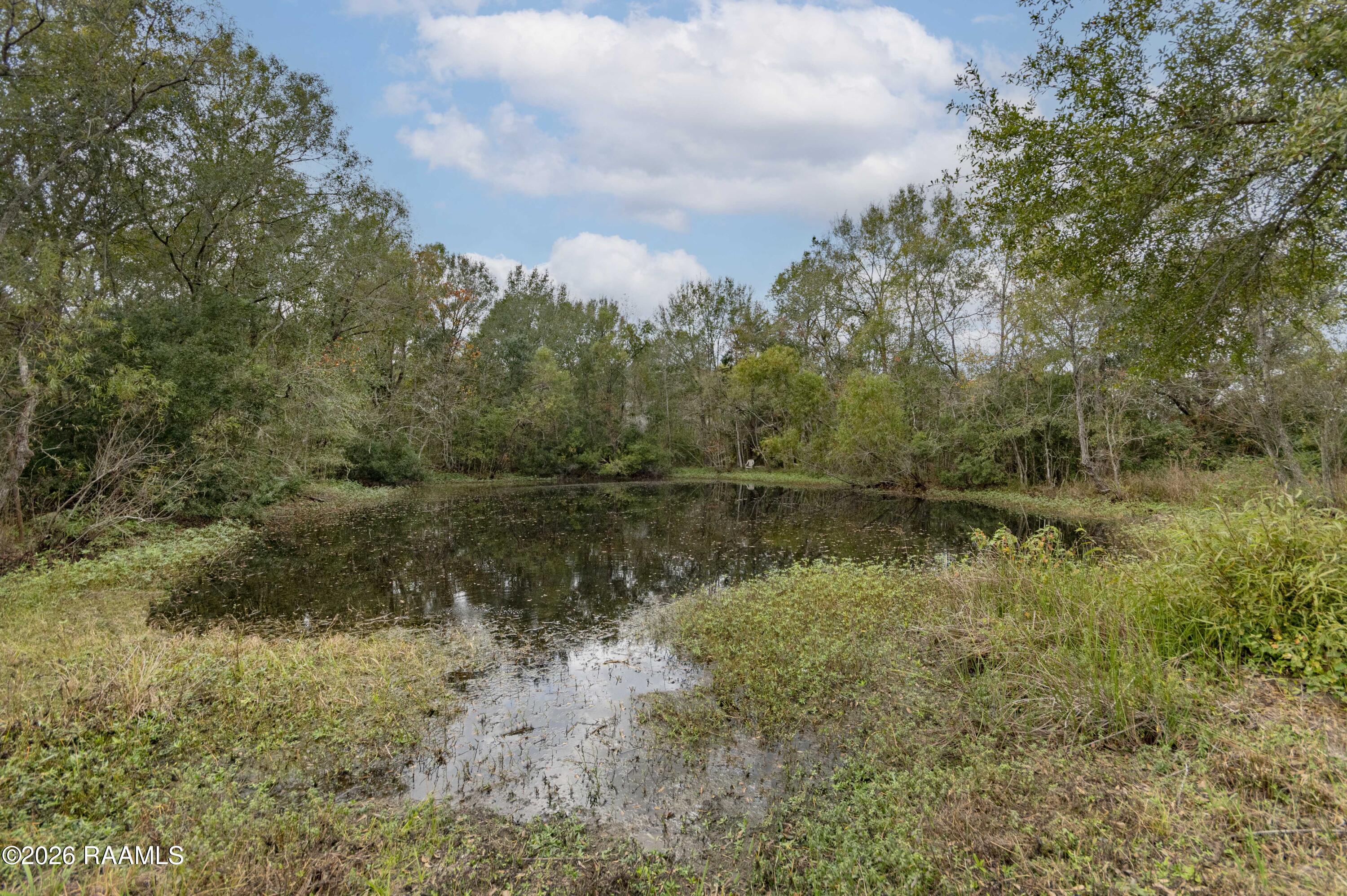 1513 Highway 343 Church Point, LA 70525 - Photo 41 of 46 Pond 1