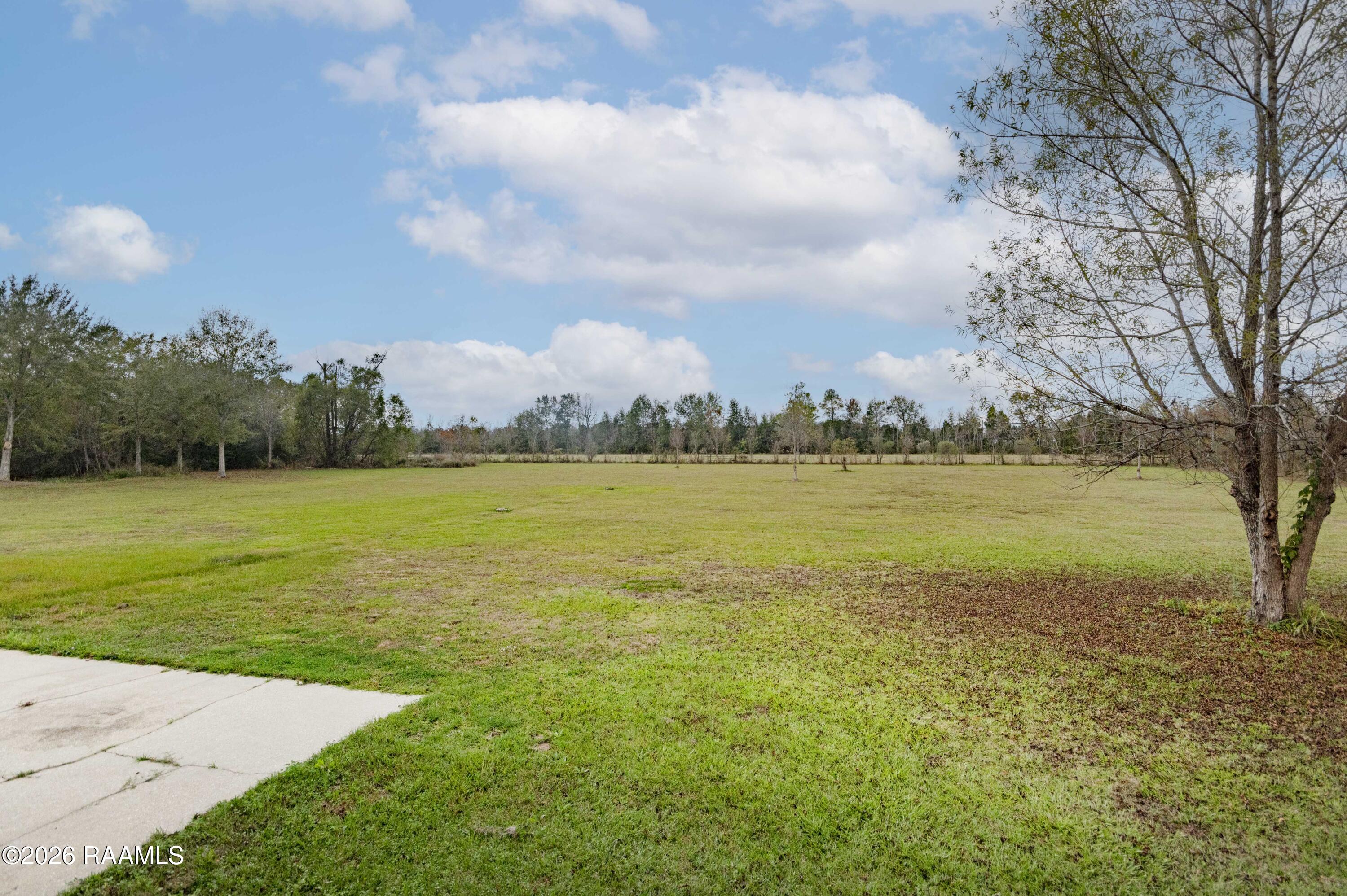 1513 Highway 343 Church Point, LA 70525 - Photo 42 of 46 Back Yard 3 (3)