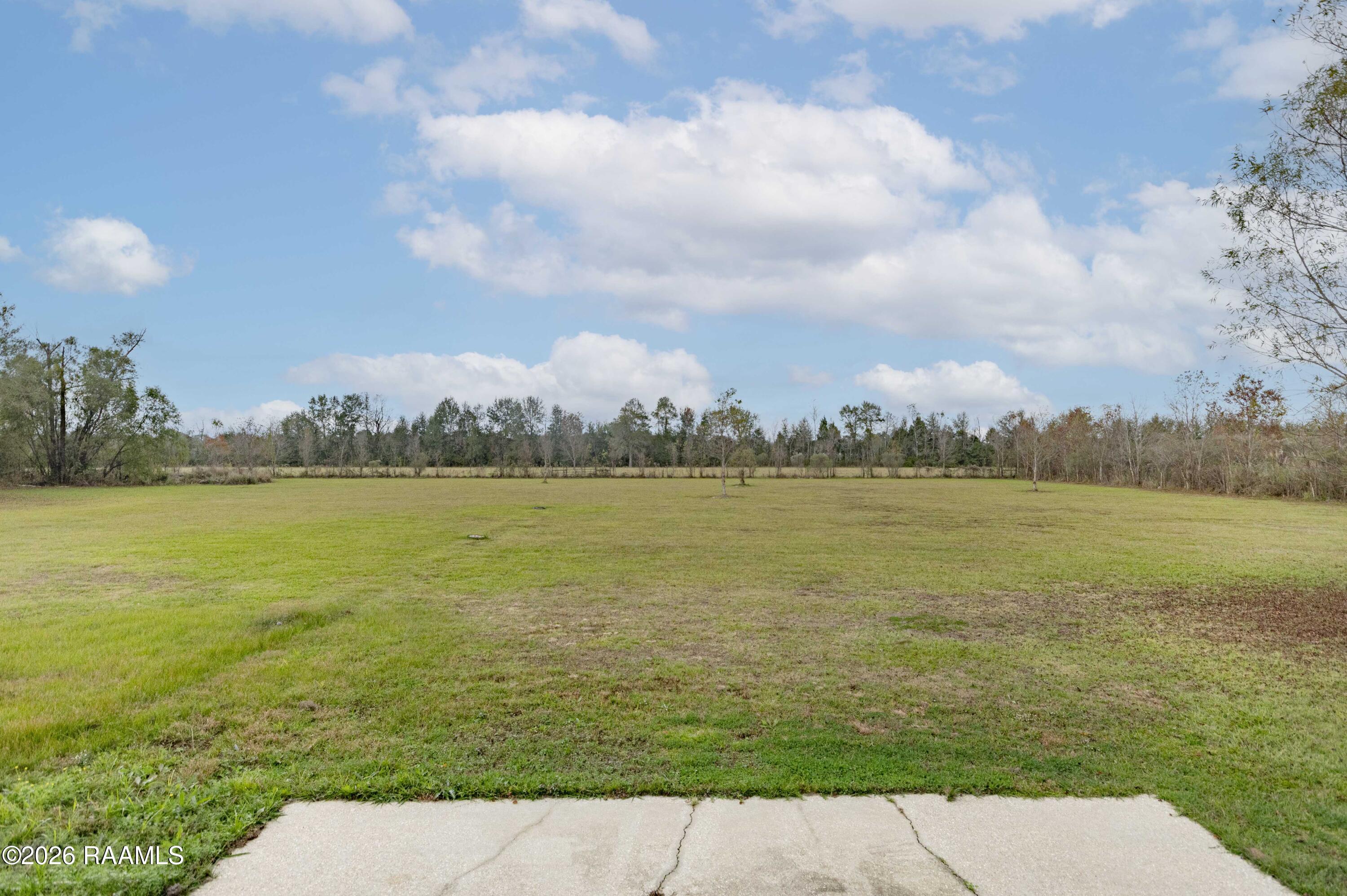1513 Highway 343 Church Point, LA 70525 - Photo 44 of 46 Back Yard 2 (6)