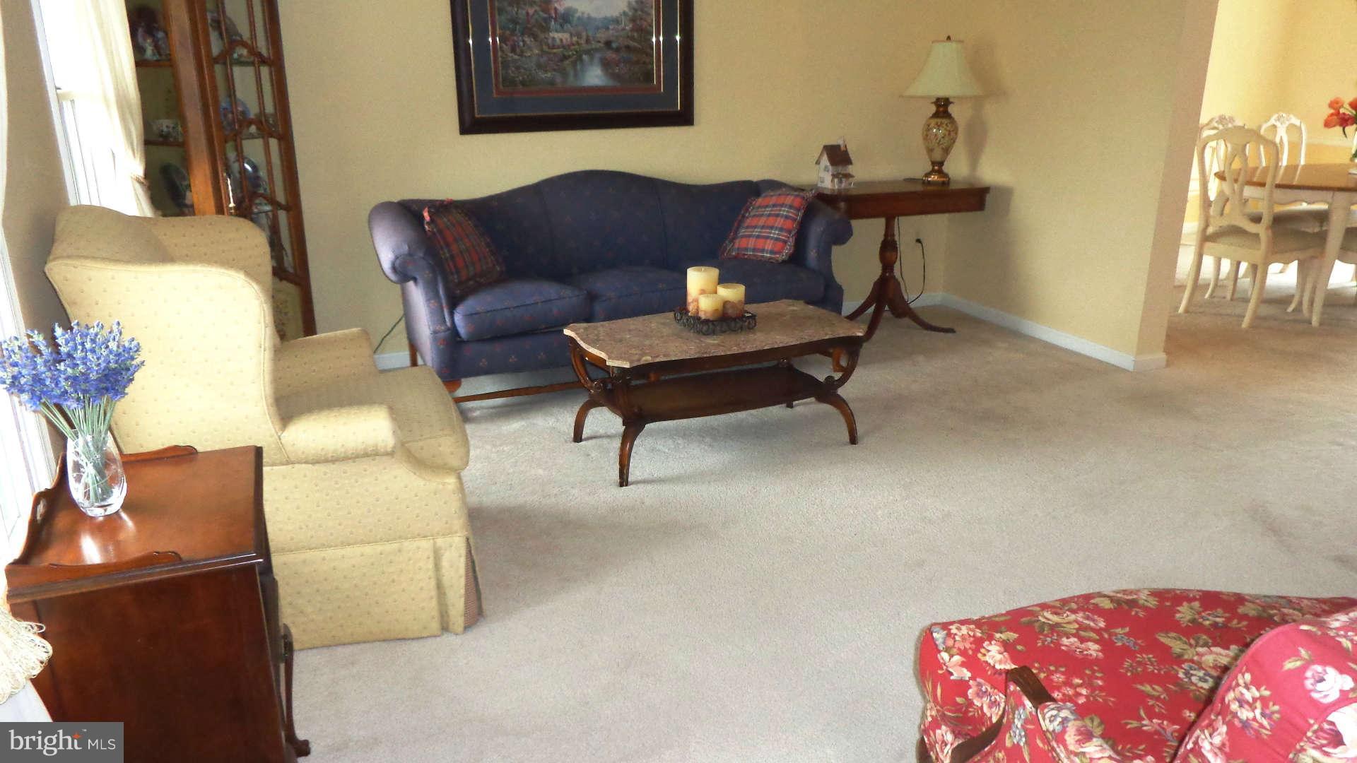 Living Room can accommodate a lot of furniture
