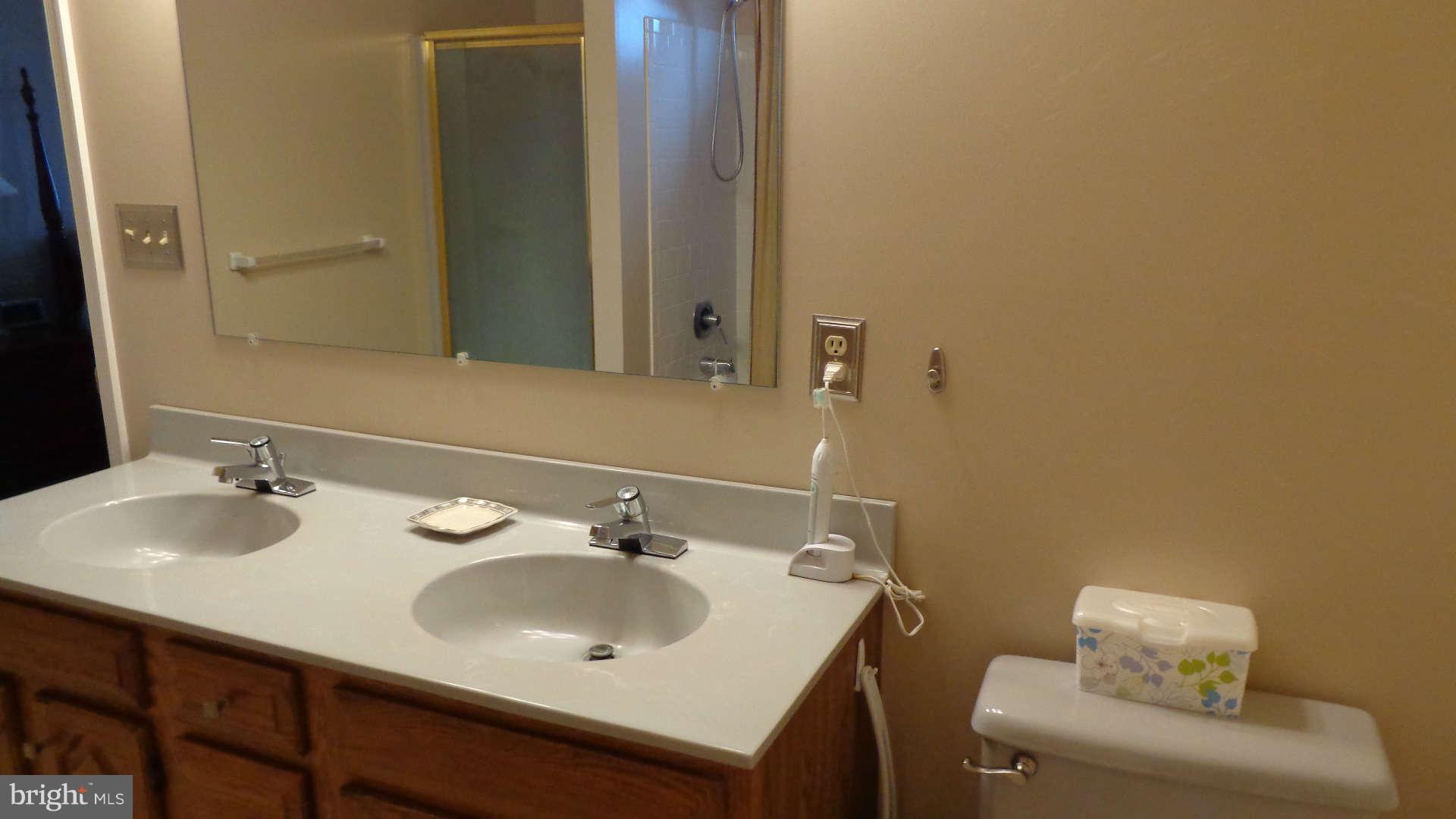 2520 Bear Run Road Taneytown, MD 21787 - Photo 15 of 28 Bath (Master) bathroom has double sinks