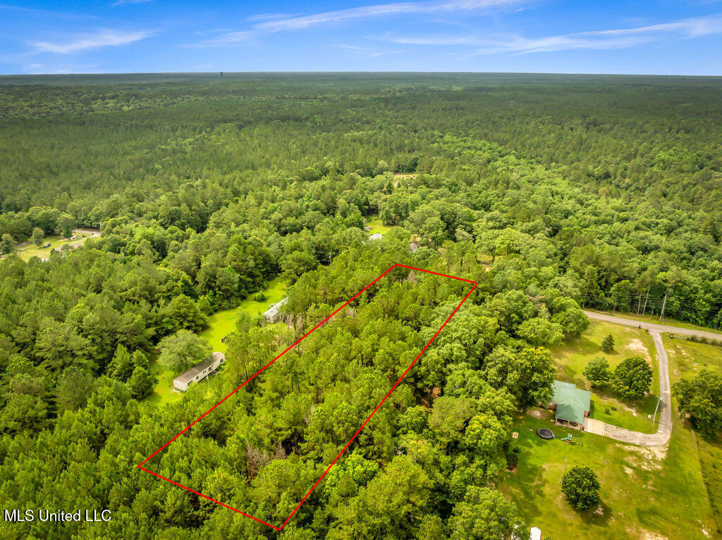 Taylor Road Saucier, MS 39574 - Photo 6 of 10 TaylorRdLot-5