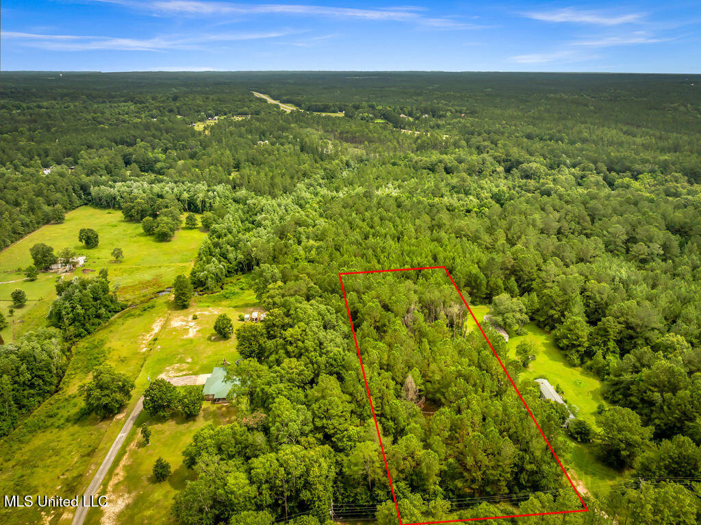 Taylor Road Saucier, MS 39574 - Photo 7 of 10 TaylorRdLot-8