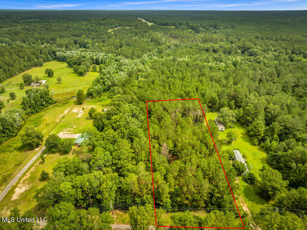 Taylor Road Saucier, MS 39574 - Photo 8 of 10 TaylorRdLot-1