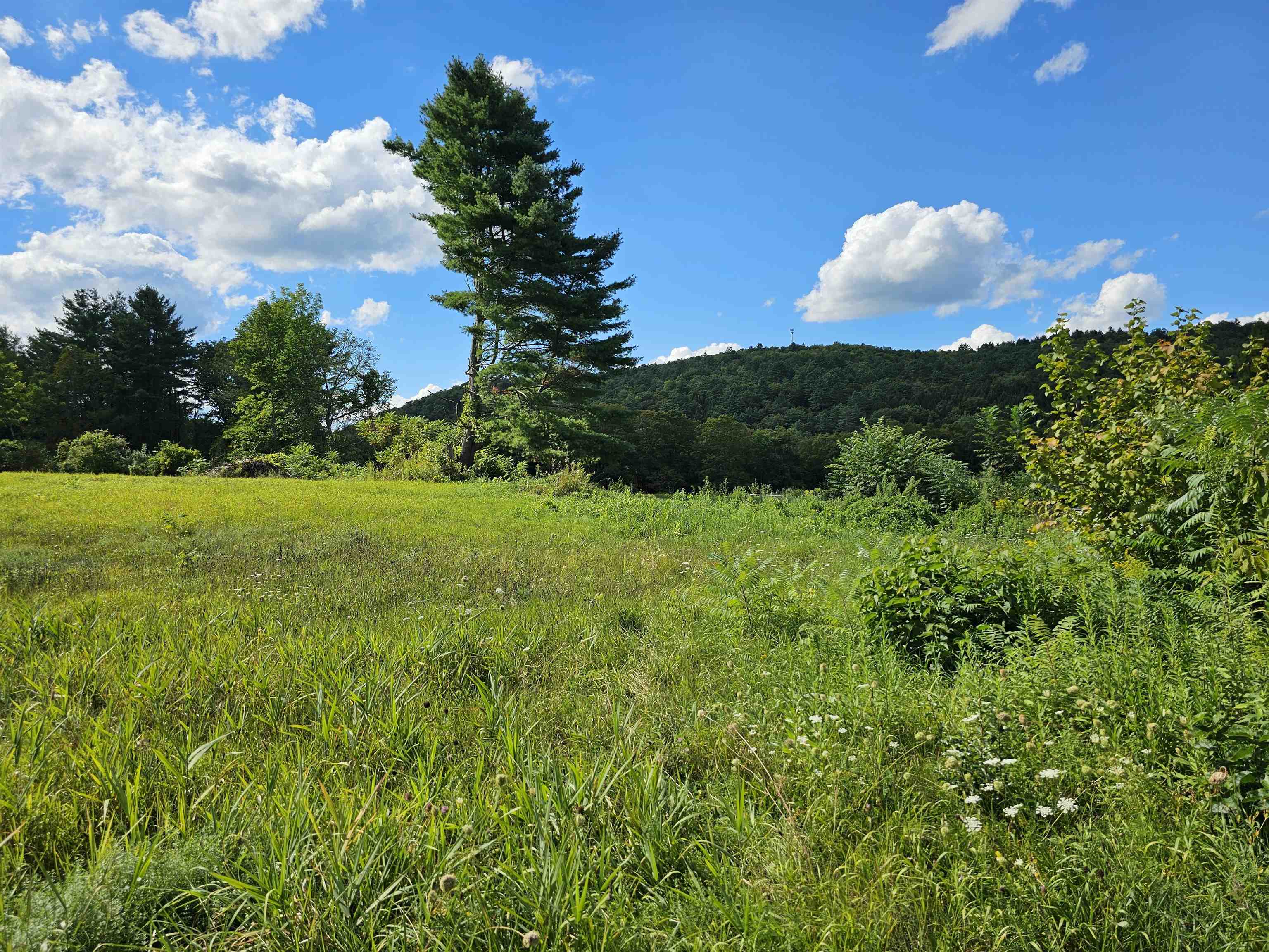 2137 Brockway Mls Road Rockingham, VT 05143 - Photo 12 of 35