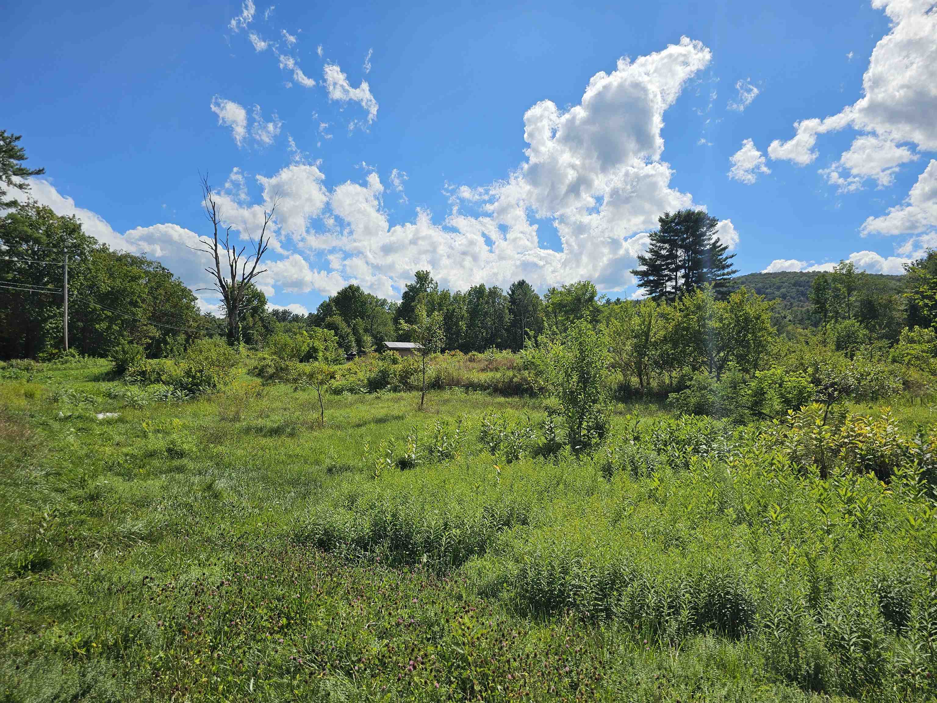 2137 Brockway Mls Road Rockingham, VT 05143 - Photo 17 of 35