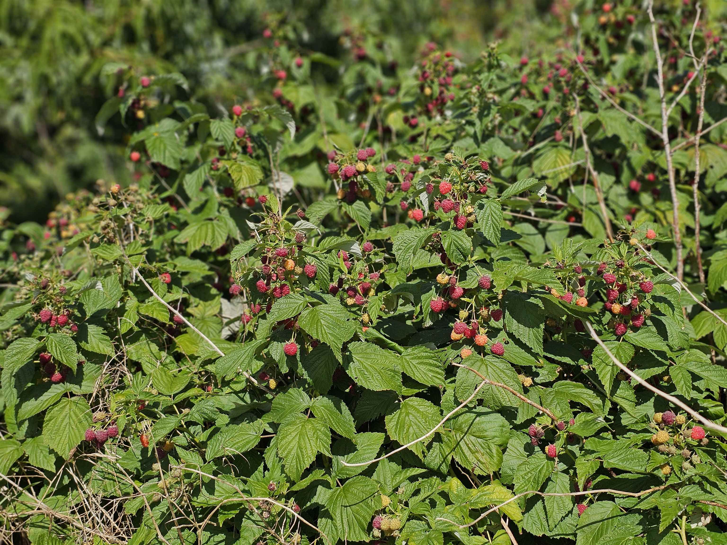 2137 Brockway Mls Road Rockingham, VT 05143 - Photo 18 of 35