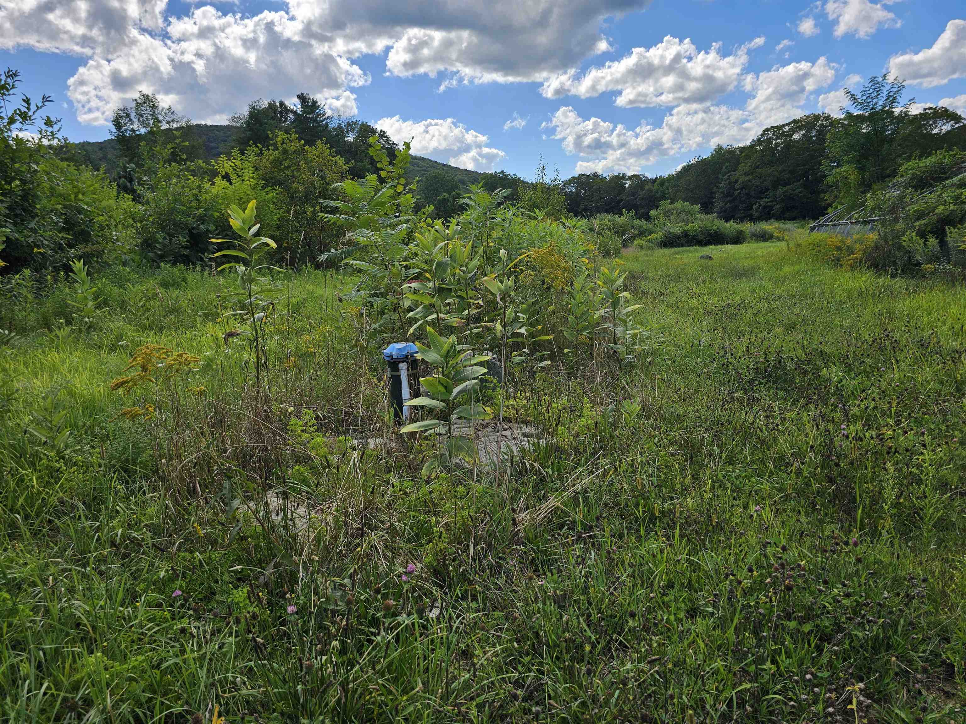 2137 Brockway Mls Road Rockingham, VT 05143 - Photo 9 of 35